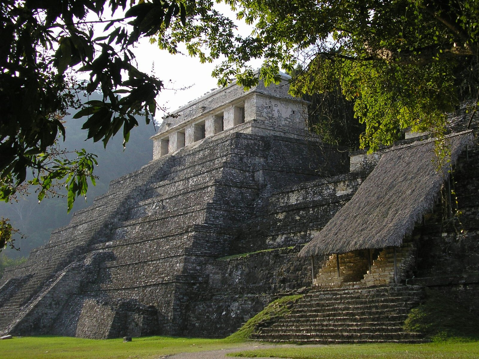 Lost Maya City Discovered Deep in the Mexican Jungle: What Archaeologists Really Know